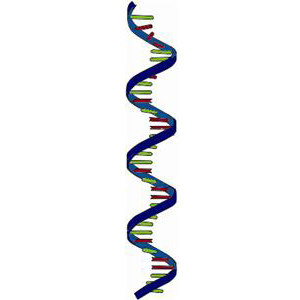 dna purification, rna purification