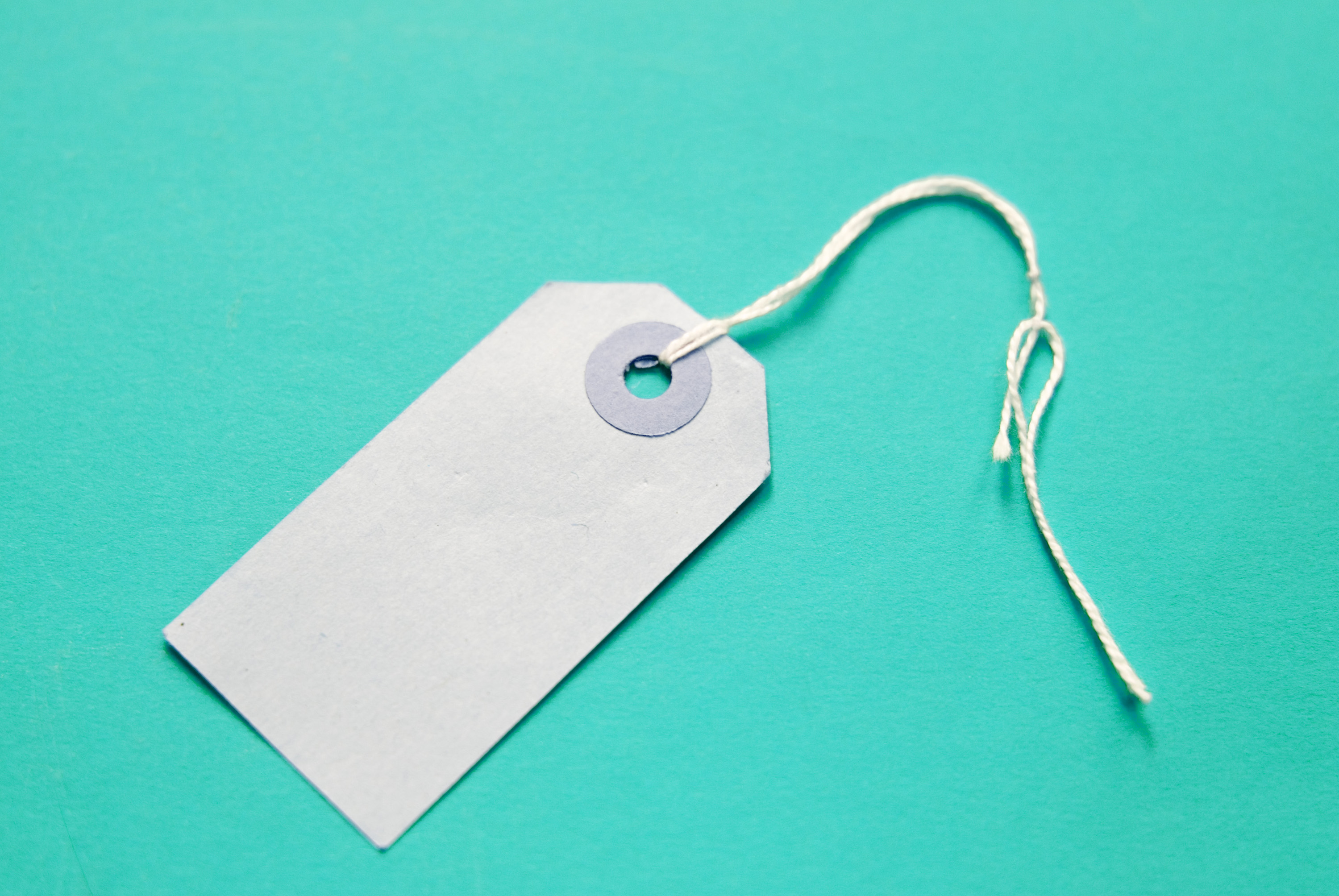 Protein Tags