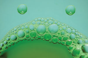 solubilized protein, protein solubilization