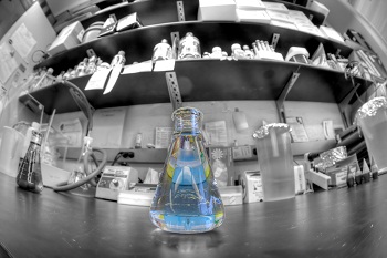 sample preparation, protein extraction