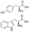 tyrosine_and_tryptophan.png