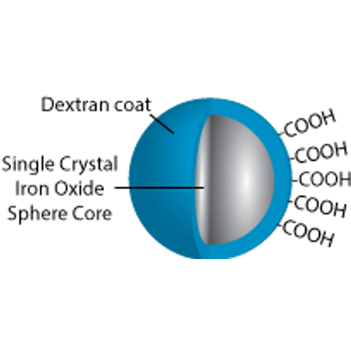 Magnetic Beads vs. Regular Beads: Which Separation Method Is Right for Your Workflow?