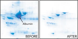 Removal of albumin reveals lower abundant proteins