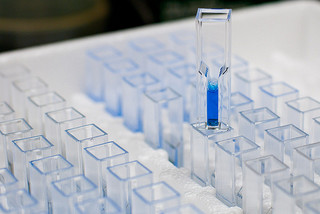 How to Calculate Protein Concentration Using The Bradford Assay