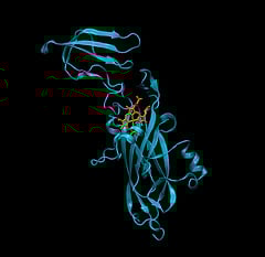 protein_purification_and_techniques.jpg