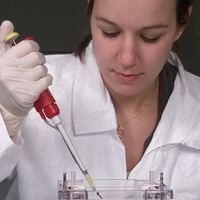 How is Protein Electrophoresis Different from Western Blotting?