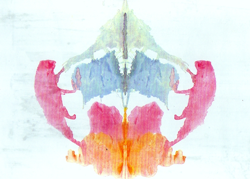 Blank areas on Western blot