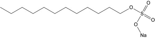 The structure of the detergent SDS
