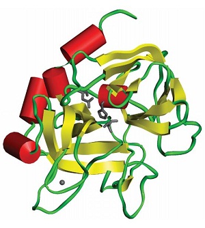 Protein Purification