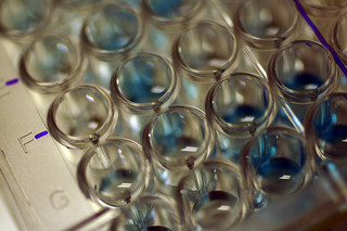 A More In-Depth Look at the Classification of Cytotoxicity Assays