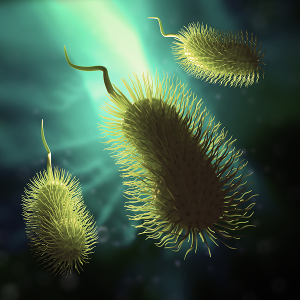 Creating Living Factories for Recombinant Proteins (Part 2 of 2)