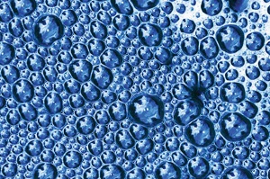 What Are the Detergents Commonly Used in Proteomics?
