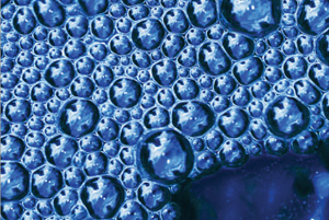 Uncovering the Importance of Detergents in the Study of Membrane Proteins