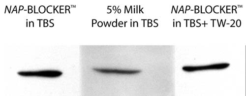 Blocking agents make a difference on blots