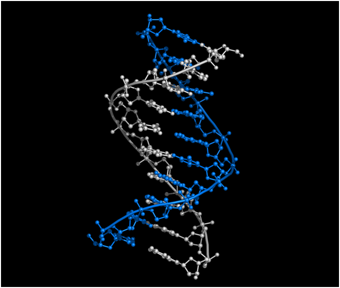 How Proteins Interact with DNA and RNA to Influence Nucleic Acid