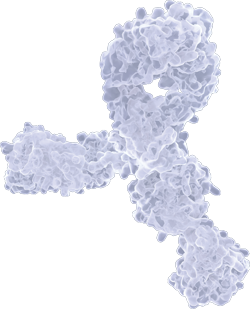 Antibody Basics Revisited (Do’s and Don’ts of Antibody Handling)