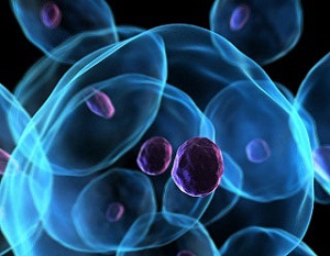 What is the Difference Between Cell Death and Apoptosis?