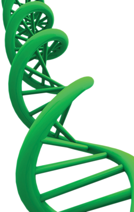 CRISPR, ZFNs, TALENs: Differences Between Bioengineering Technologies