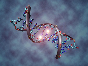 Understanding DNA Methylation and its Role in Gene Expression