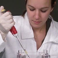 How is Protein Electrophoresis Different from Western Blotting?