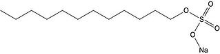 Sodium Dodecyl Sulfate Structure