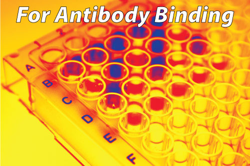 What Assay Development Accessories Should You Use For Protein Binding? (Part 3 f 3)