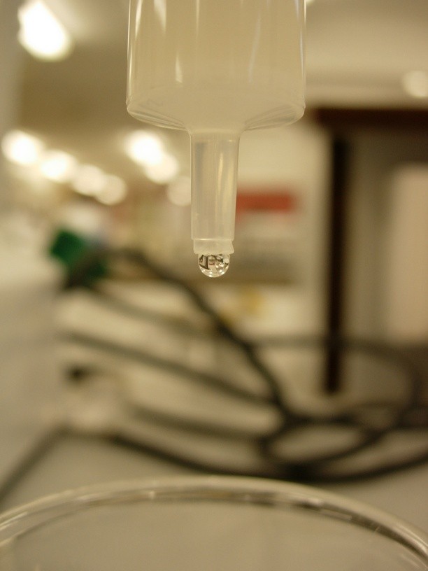 Which agarose (sepharose) to choose? 2, 4 or 6%? Crosslinked?