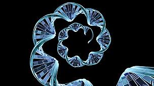 dna purification, molecular biology