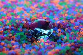 Basics of Hydrophobic 