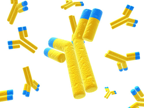 Optimize Elution Conditions in Affinity Chromatography to Antibodies