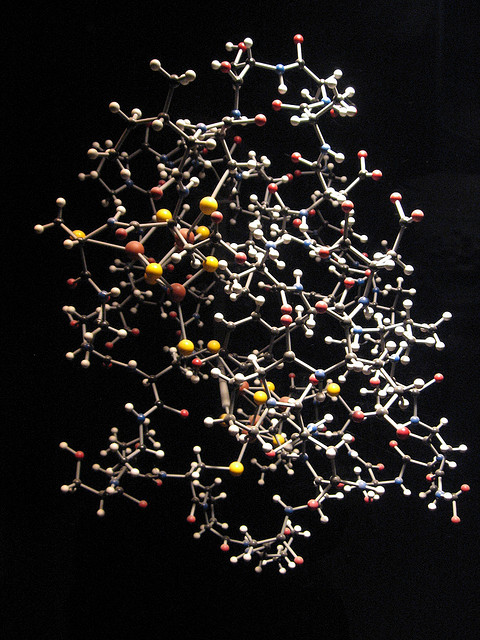 Coupling to Carrier Proteins: An Overview