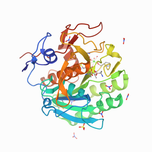 All about Proteinase K
