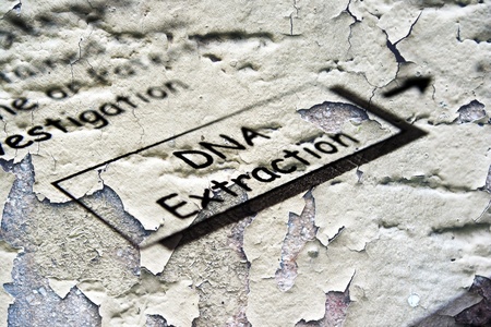 Role of Lytic Enzymes in Protein and DNA Extraction