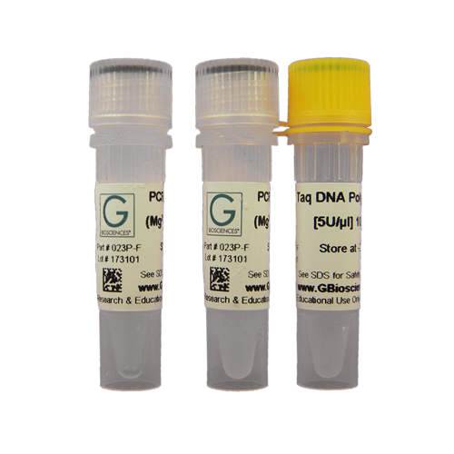 Taq Polymerase is Preferred Enzyme for Polymerase Chain Reaction (PCR)