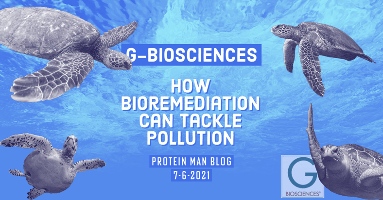 How Bioremediation Can Tackle Pollution