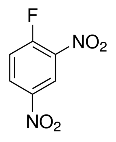 DNFB-Sanger’s reagent for detection of free amino acids