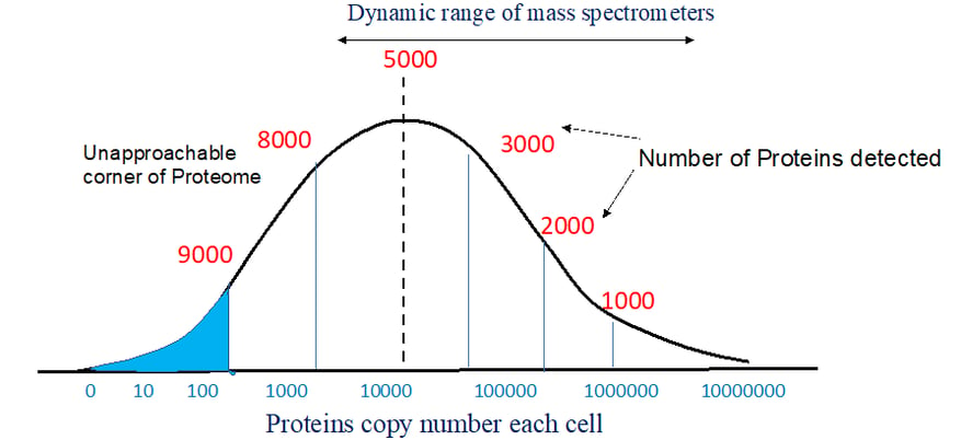 Distribution_of_proteins-1