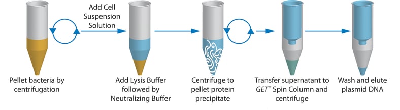 Plasmid Isolation: Overcoming the Challenges for Isolating Plasmid DNA