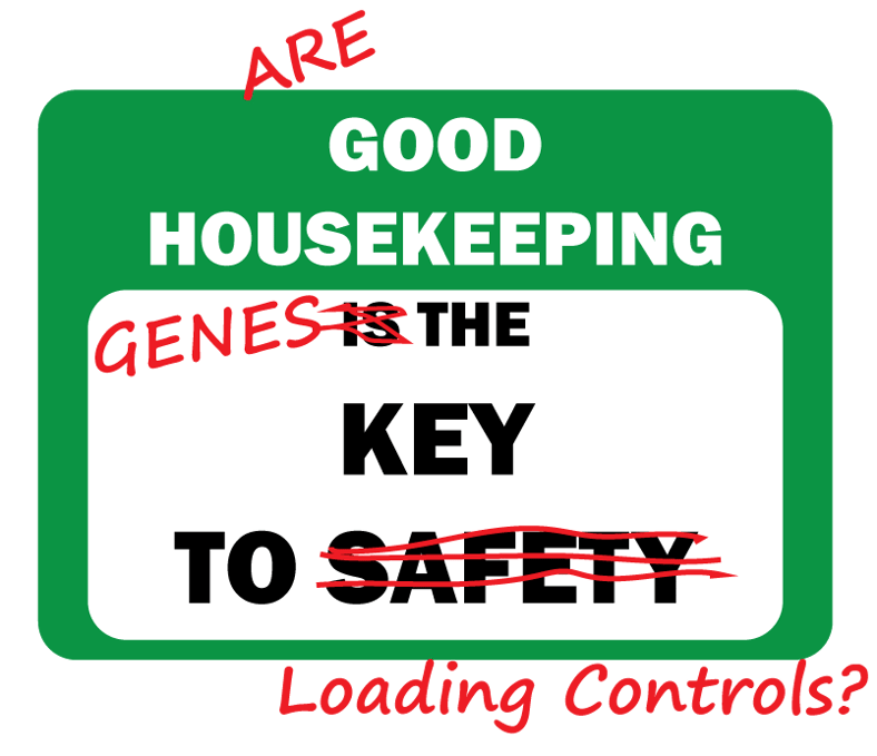 What's best? Housekeeping genes or total protein for Western blot loading controls