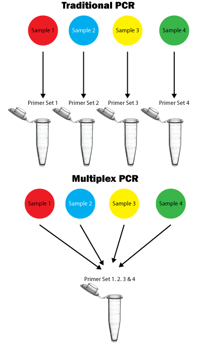 Multiplex PCR, Benefits over traditional PCR