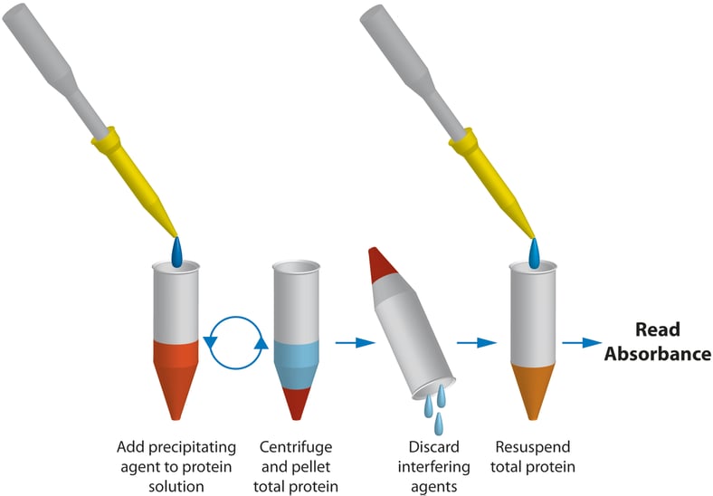 Overcome effects of detergents & reducing agents in protein estimation