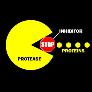 complete protease inhibitor Protease_Inhibitor