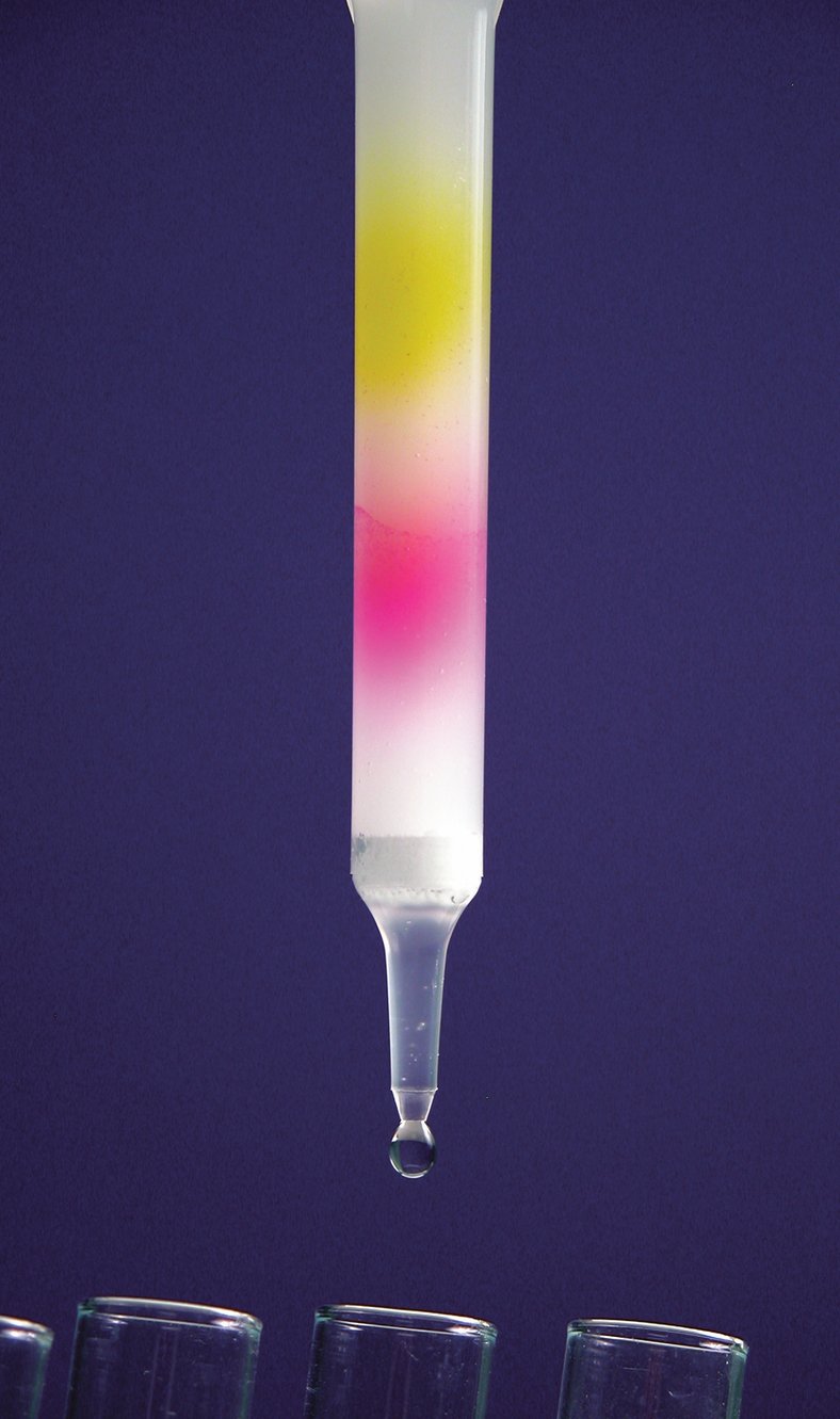 Chromatography Series Part I: Liquid Chromatography Basics