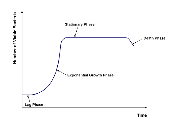 Bacterial Growth Curves using a Spectrophotometer (Turbidimetric Determination)