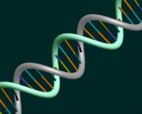 Molecular Beacon: Dual Labelled Probes