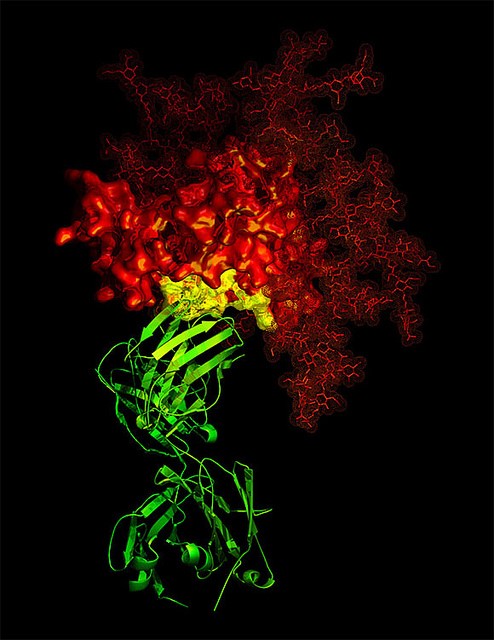 Recombinant Protein Expression Systems: Pros & Cons