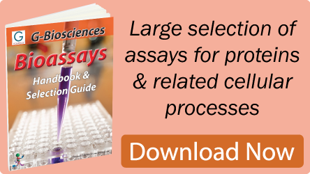 Protein_Assays_Guide