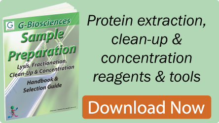 The Role of Tween 80 in Protein Solubilization and Stabilization